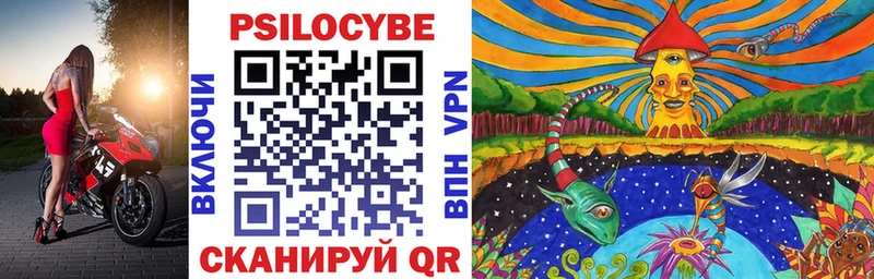 купить наркоту  Нижняя Тура  блэк спрут как войти  Псилоцибиновые грибы Psilocybe 